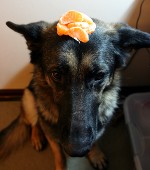 Why is there a pile of orange pieces on my head?