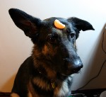 Why is there an orange piece on my head?